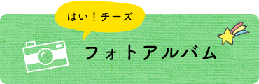 フォトアルバム